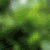 1329.gif