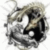 1334.gif