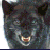 610.gif