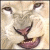 1154.gif