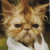 931.gif