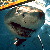 1593.gif