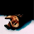 1615.gif
